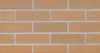 Burnt Almond (W21-22) Thin Brick 3/4"
