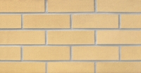 Beige with Speck (S42) Thin Brick 3/4"