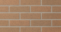 Burnt Almond Ironspot (SIS21-22) Thin Brick 3/4"